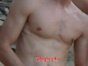 2bigtoy4u
