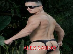 ALEX_GABINO