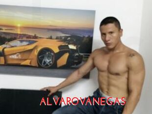 ALVAROVANEGAS