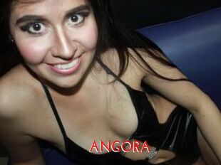 ANGORA