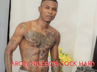ARON_NICEBOY_COCK_HARD