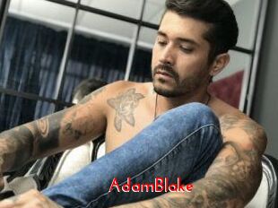 AdamBlake The Sex
