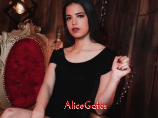 AliceGates