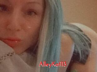 AlleyKat113