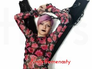 Analxtremenasty