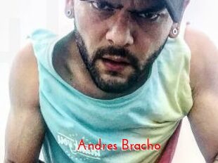 Andres_Bracho