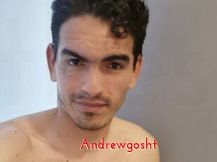 Andrewgosht The Sex