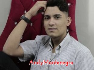 AndyMontenegro