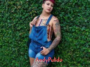 AndyPulido