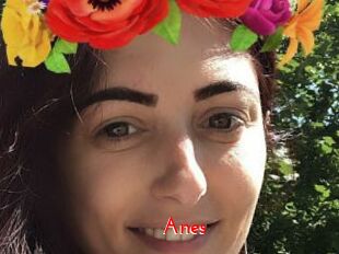 Anes