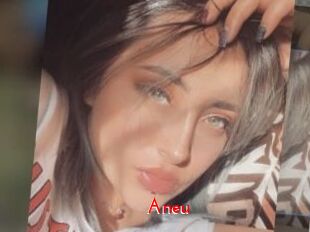 Aneu