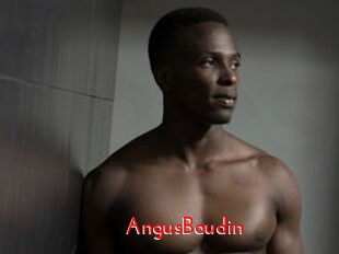 AngusBaudin