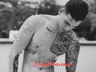 AnibalNavarro