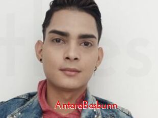 AntaraBasbunn