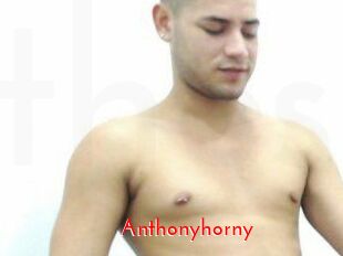 Anthonyhorny