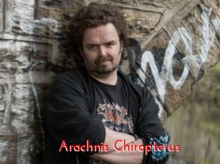 Arachnis_Chiropterus