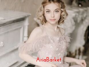 AriaBarket The Sex