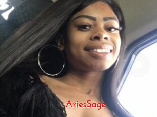 AriesSage The Sex