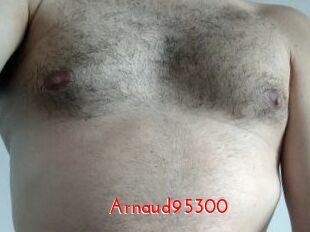 Arnaud95300