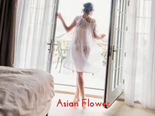 Asian_Flower_ The Sex