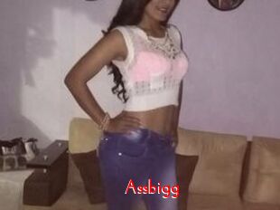 Assbigg