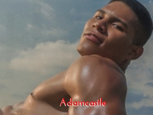 Adamcastle
