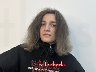 Aftonbarks