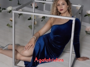 agatatristins The Sex