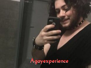Agayexperience