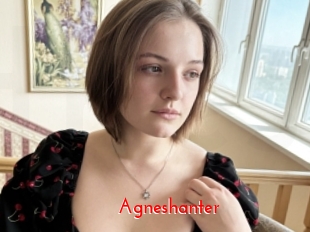 Agneshanter