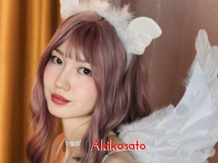 akikosato The Sex