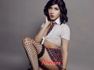 Alacam