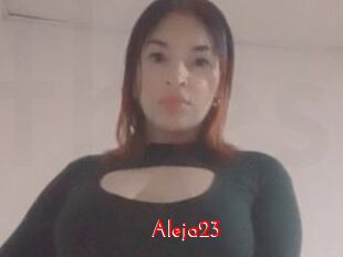 Aleja23