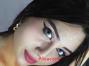 Alicecam