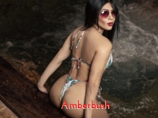 Amberbush