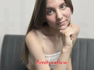 Amitycatlow
