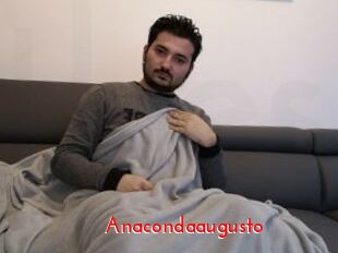 Anacondaaugusto