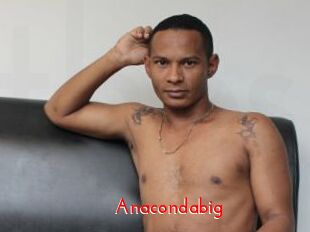 Anacondabig