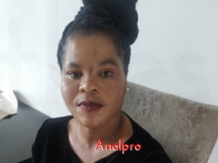 Analpro