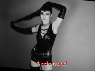 anatamunet The Sex