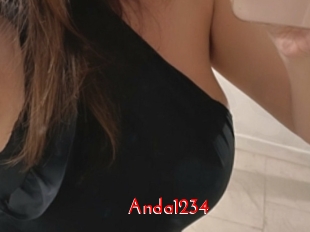 Anda1234