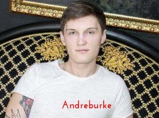 Andreburke