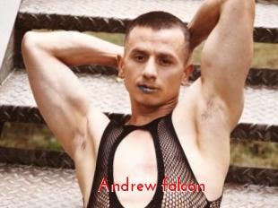 Andrew_falcon