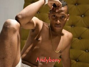 Andybony