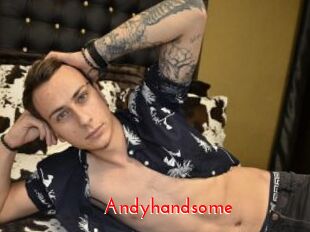 Andyhandsome