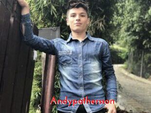 andypathersson The Sex