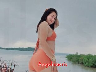 Angelicacris