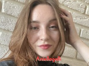 Aniellagalli