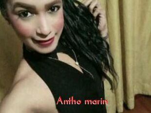 Antho_marin