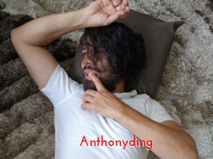 anthonyding The Sex